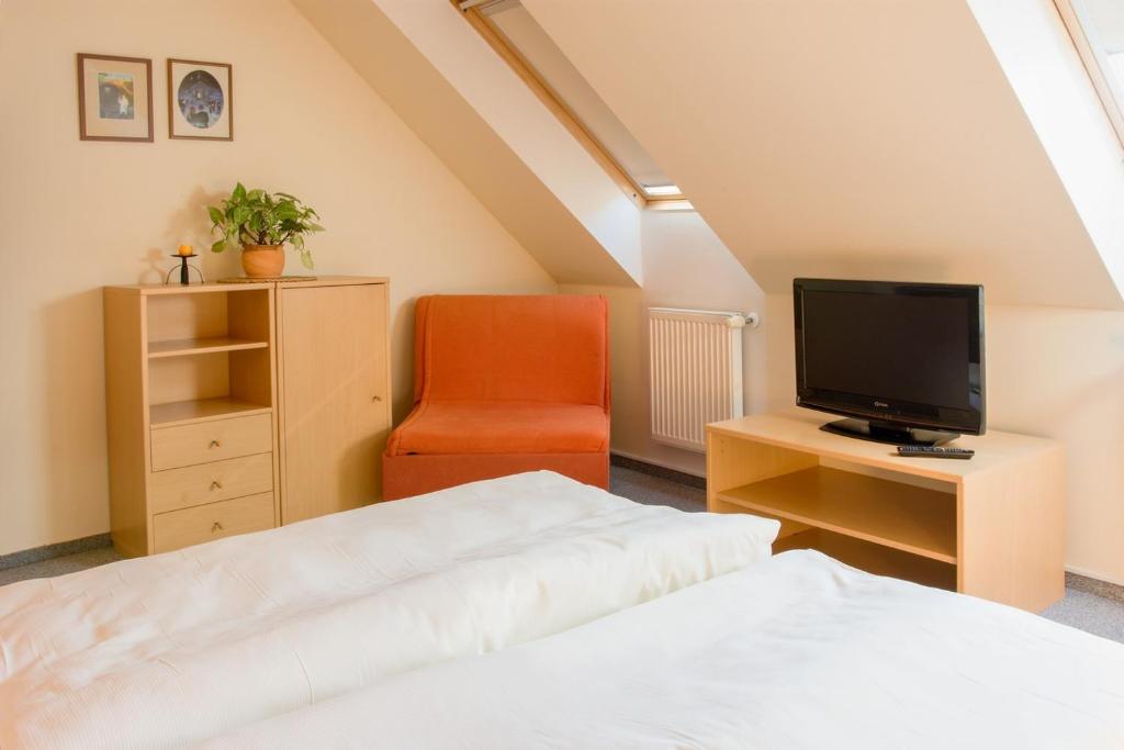 TV a/nebo společenská místnost v ubytování Apartmany A.Ša Kašperské Hory