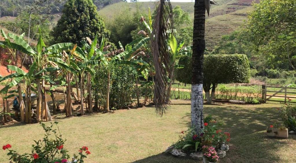 un palmier au milieu d'une cour fleurie dans l'établissement Rancho Luna D'oro - Ótimo lugar para descansar, à Santo Antonio do Aventureio