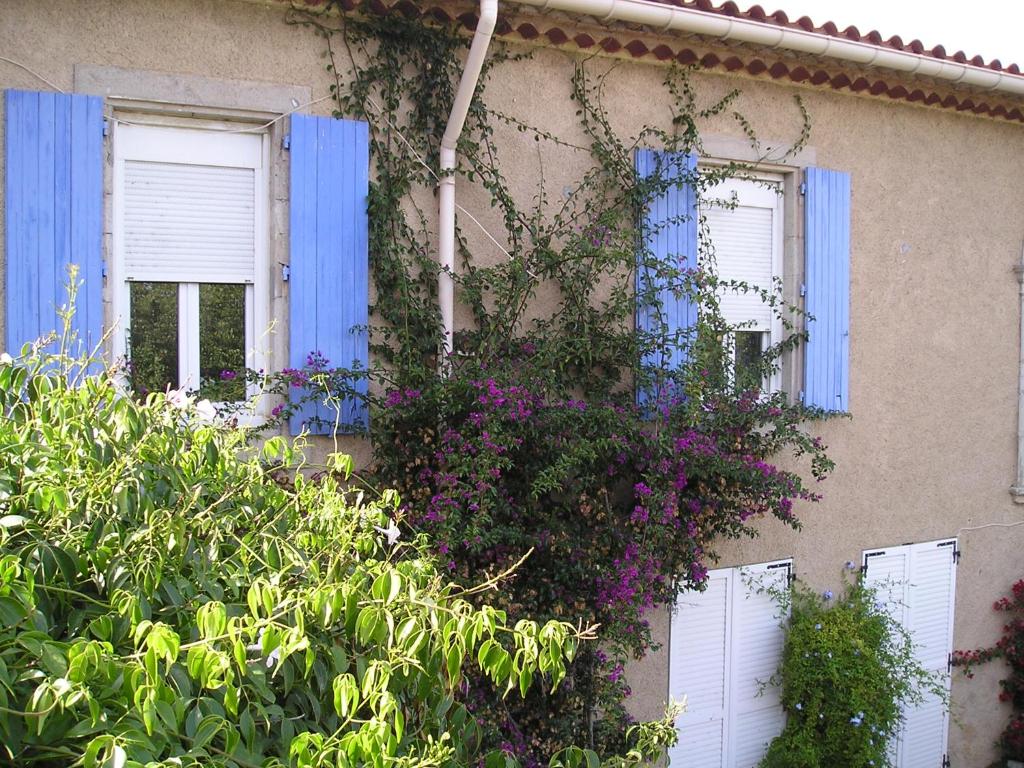 een gebouw met blauwe luiken en paarse bloemen bij GITE MAMIE LAURENCE in Gruissan