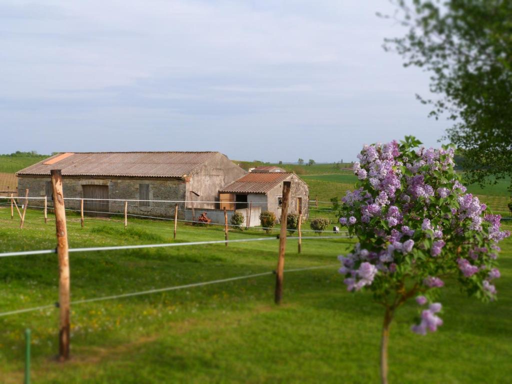 Zahrada ubytování Chambres d'hôtes Le Cartounier