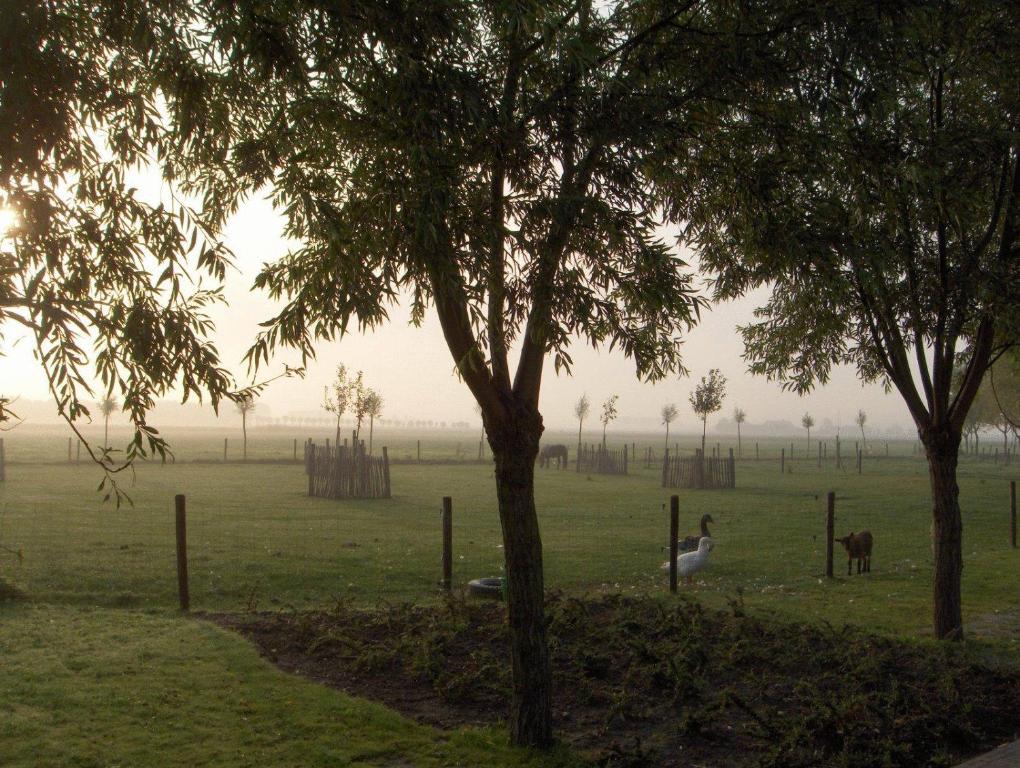 Zahrada ubytování B&B Knotwilgenhoeve