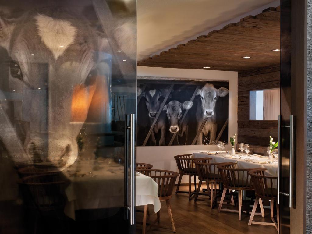 aja Fürstenhaus am Achensee - 2