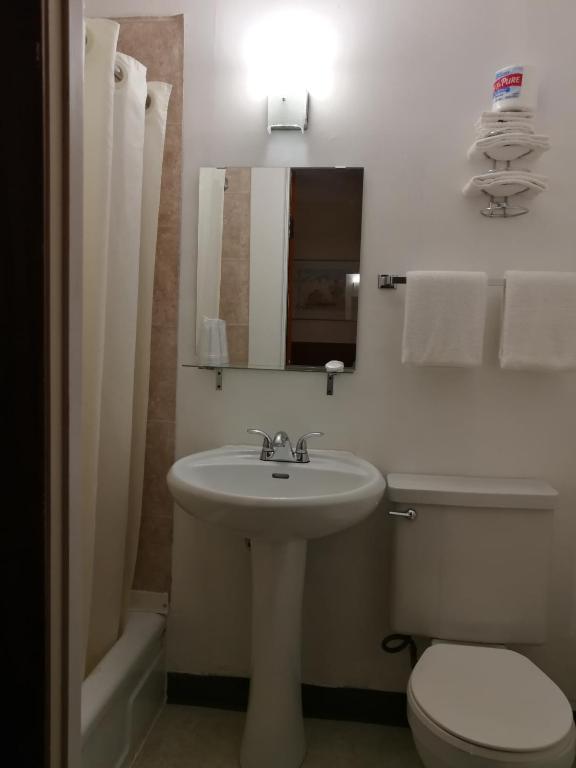 Koupelna v ubytování Star Motel