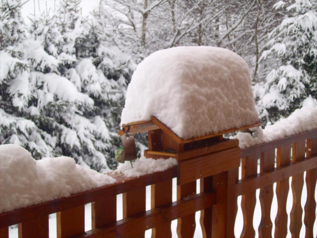 Chalet Gérardmer situé a LE THOLY v zimě
