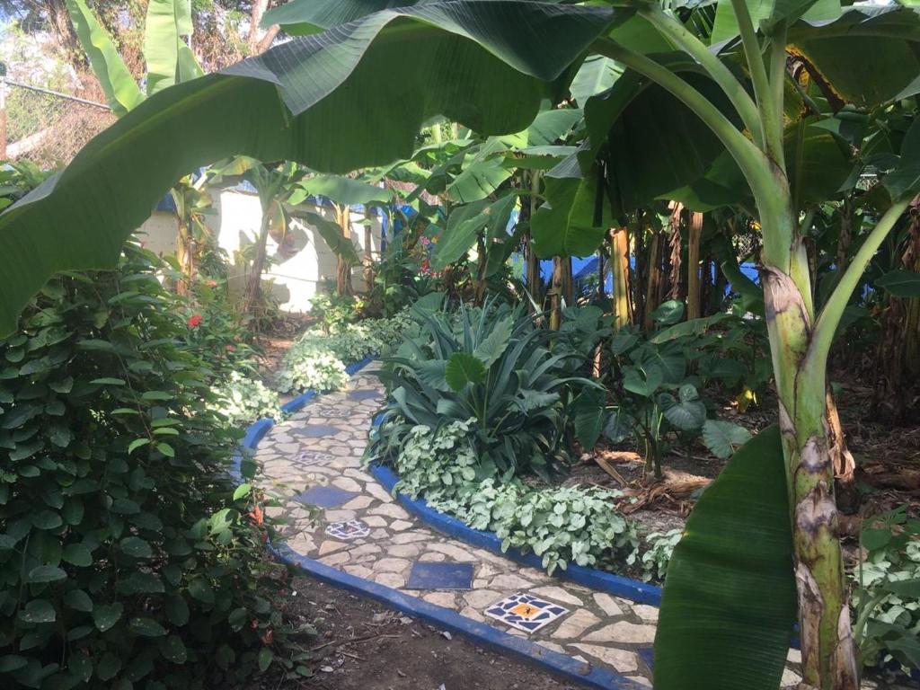 Zahrada ubytování Sana El Jardin Secreto