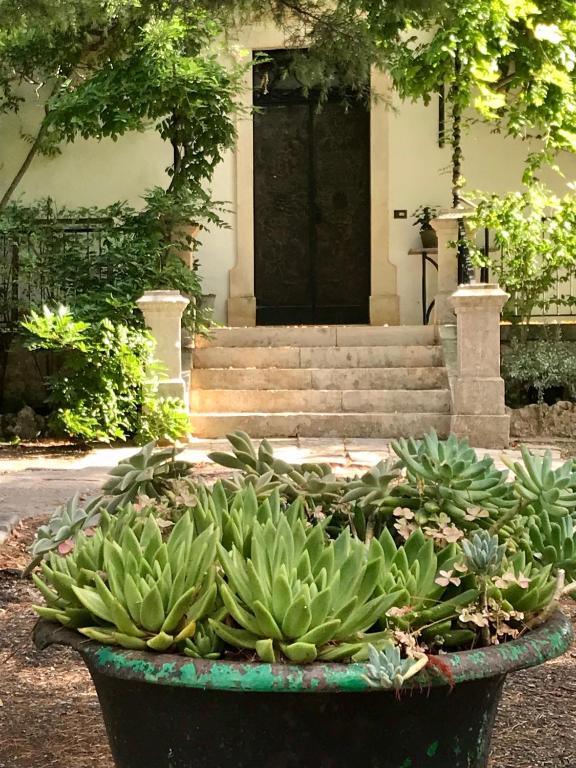 Zahrada ubytování Masseria Trulli&Stelle B&B