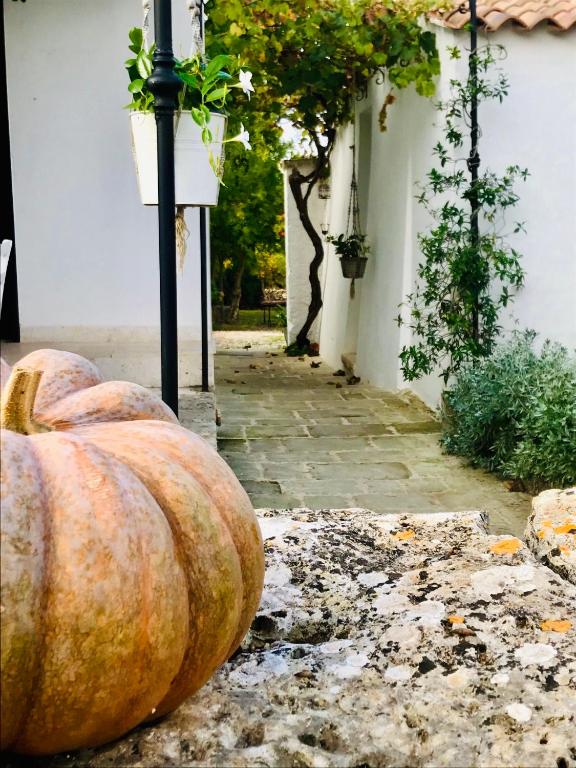 Zahrada ubytování Masseria Trulli&Stelle B&B