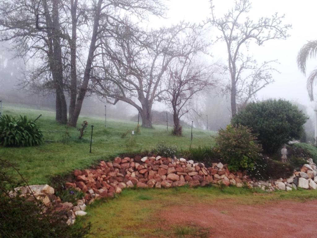 Brookvale House Balingup - The Pavilion - One Bedroom Villa