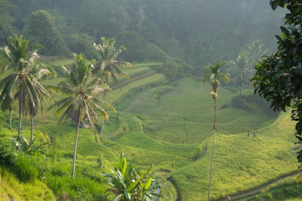 Suarapura Resort & Spa - 17