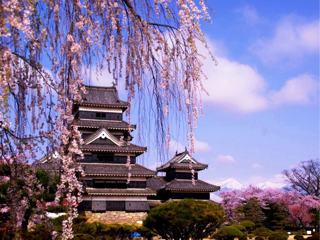 a pagoda with pinkakura trees in front of a building at Hakuraiso in Matsumoto