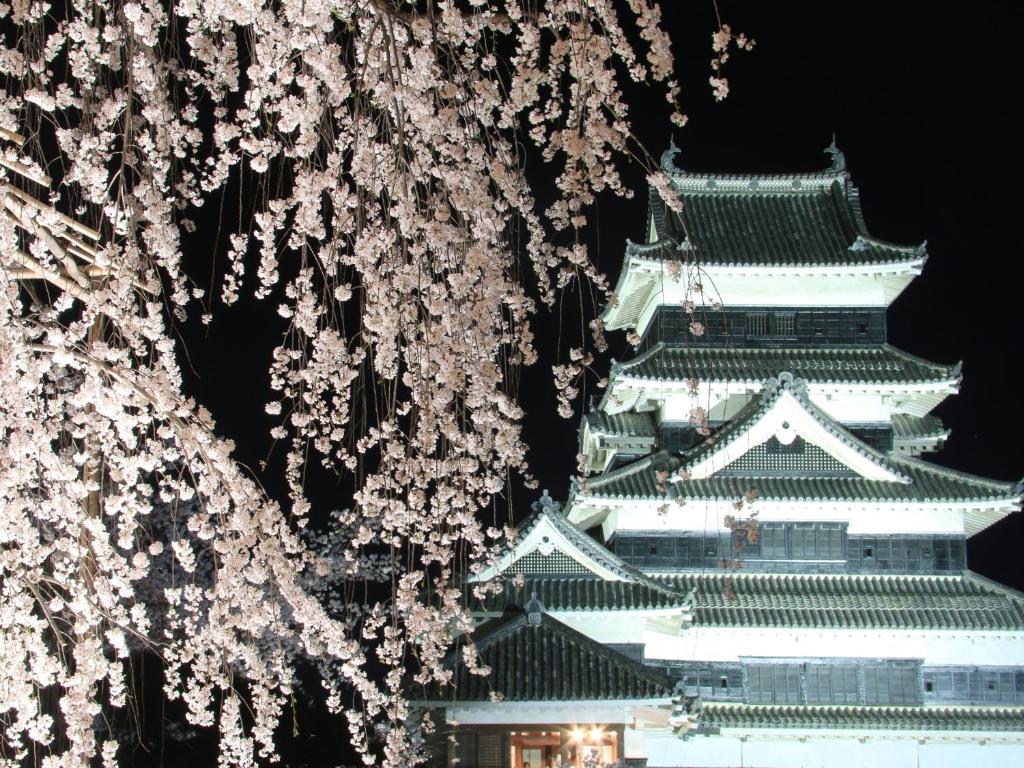 a view of a building andakura trees at night at Hakuraiso in Matsumoto