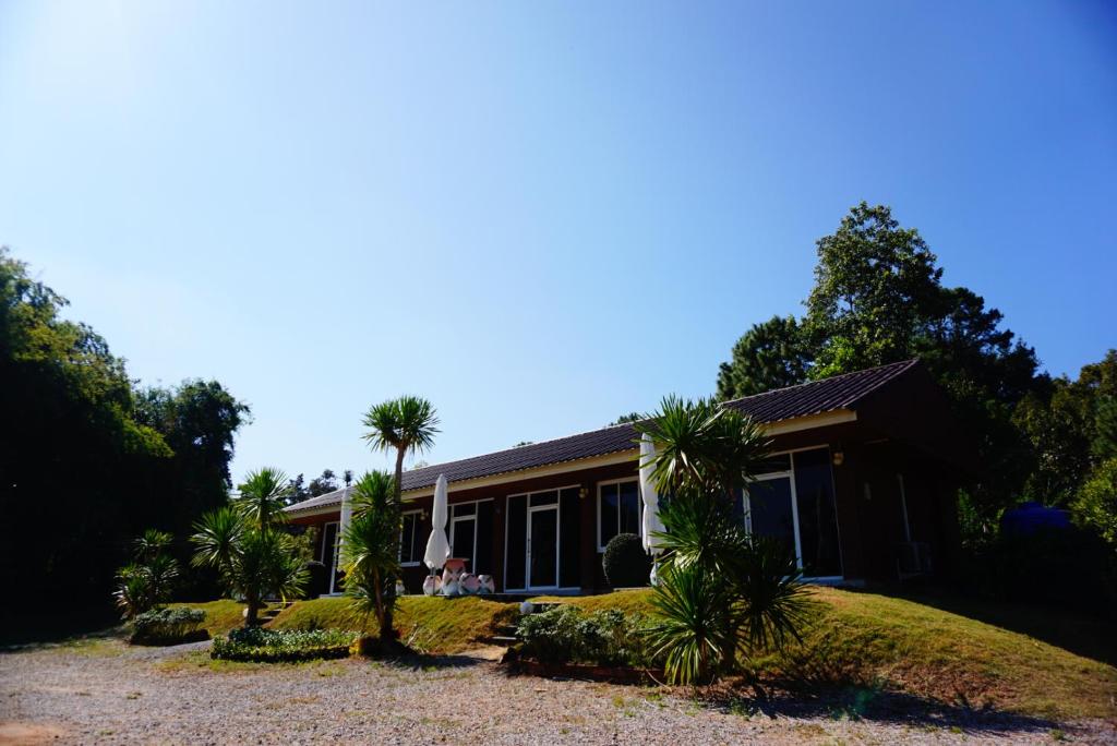 a house with a palm tree in front of it at Pruksatara Garden in Phu Ruea