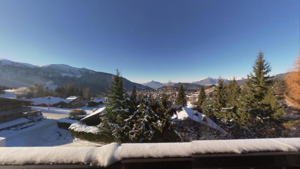 - une vue depuis le toit d'une maison dans la neige dans l'établissement Duplex 4 Pers PIed de pistes (BA331), aux Carroz d'Arâches