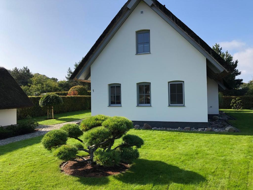 Zahrada ubytování Ferienhaus Strandgut - Reetdachhaus in Strandnähe