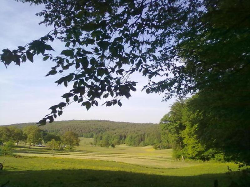 uitzicht op een groen veld met bomen op de achtergrond bij Ferienwohnungen Zeltnerhof in Breitenbrunn