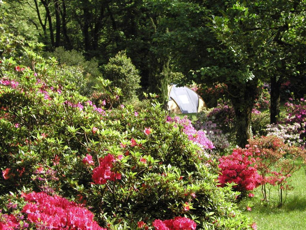 Zahrada ubytování Camping & Resort Valle Romantica