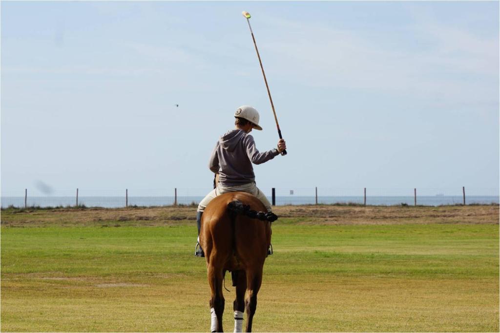 a man is playing polo on a horse with a pole at Trafalgar Polo Club in El Palmar