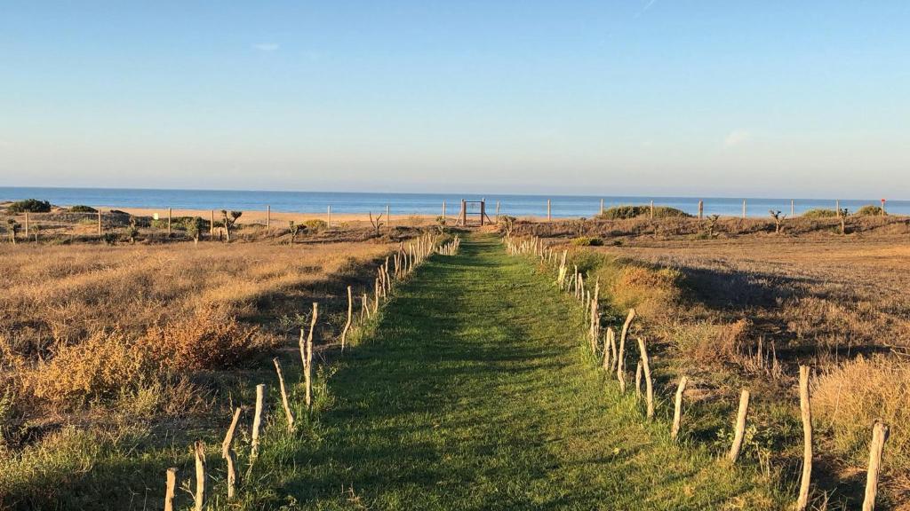 a fence in a field with the ocean in the background at Trafalgar Polo Club in El Palmar