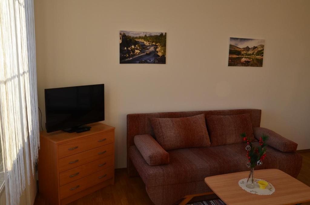 TV a/nebo společenská místnost v ubytování Chata Horec