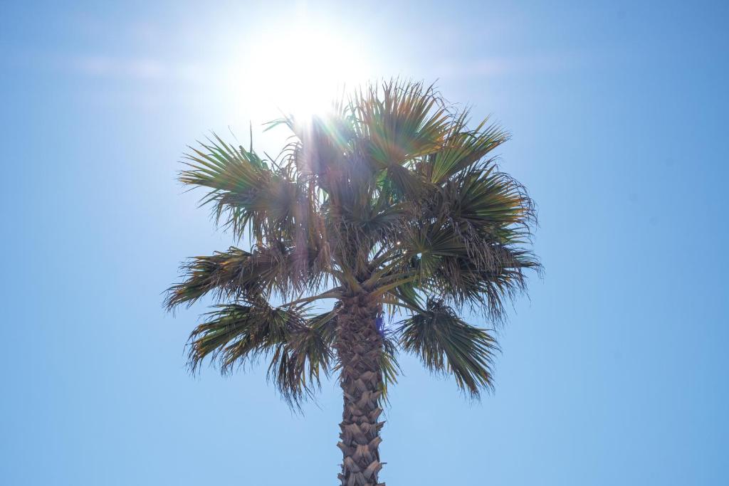 Fotografie z fotogalerie ubytování DS One Vacances, Prairies de la Mer v destinaci Grimaud