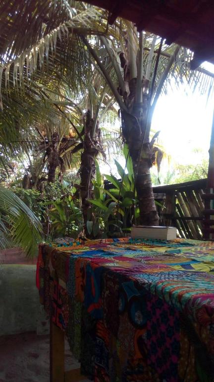 Green Zion Garden - Bett Im 4-Betten-Schlafsaal