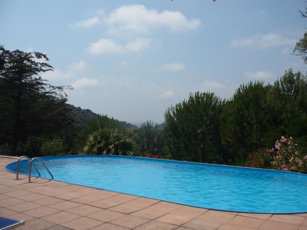 a large blue swimming pool with trees in the background at Casolare con Piscina al mare in Castagneto Carducci