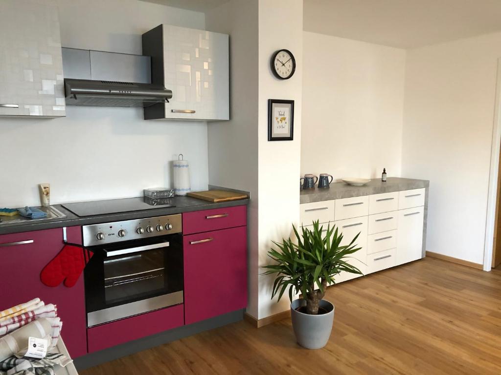 a kitchen with red cabinets and a plant in it at Haus am Marktplatz in Aigen im Mühlkreis