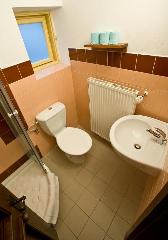 Hotel U Malého Vitka - 6