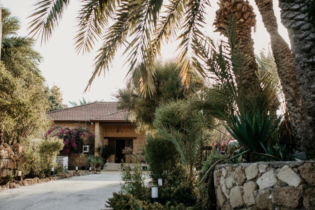 Zahrada ubytování Golden Palms Guest House & Cafe