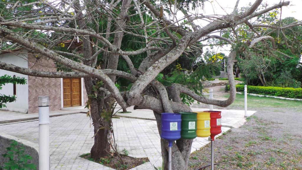  Pousada Ecológica das Bromélias