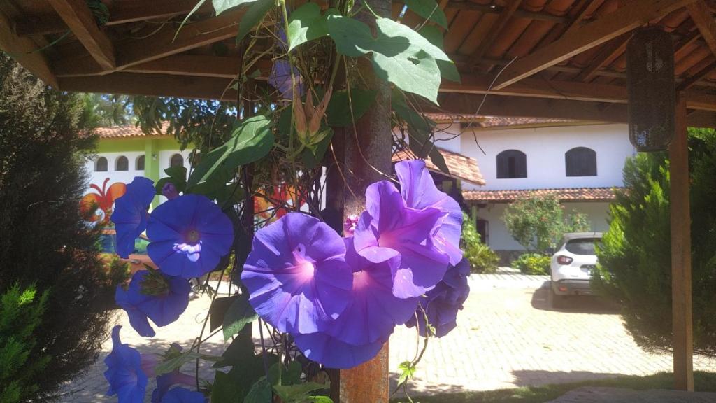  Pousada Ecológica das Bromélias
