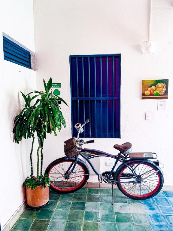 Zana Hotel Boutique