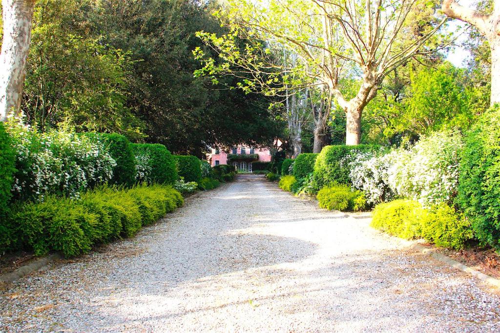 A garden outside Art Apartment Villa Mannelli