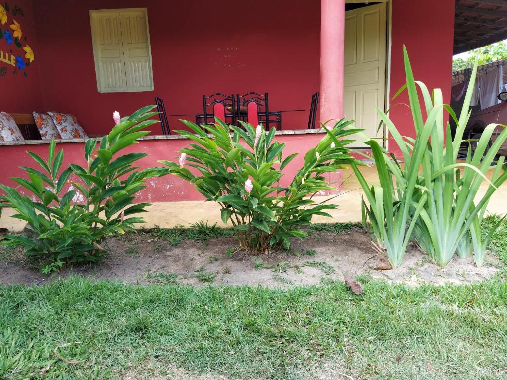 Casa Flôr