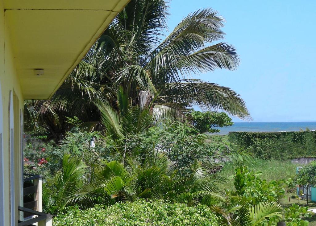  Apartamentos Araraquara