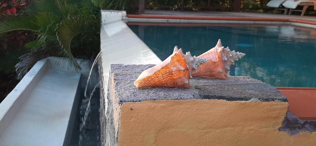 Bazén v ubytování Kaye Mango nebo v jeho okolí