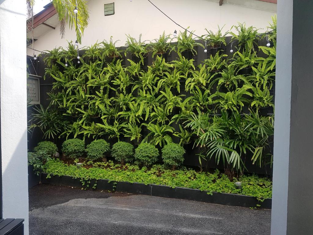 Loyy Hotel - Resim 13