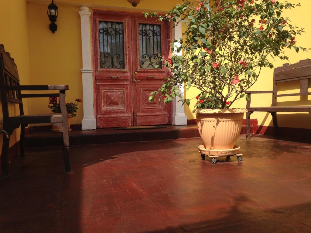 Zimmer mit Tür und Topfpflanze in der Unterkunft Casablanca in Lima