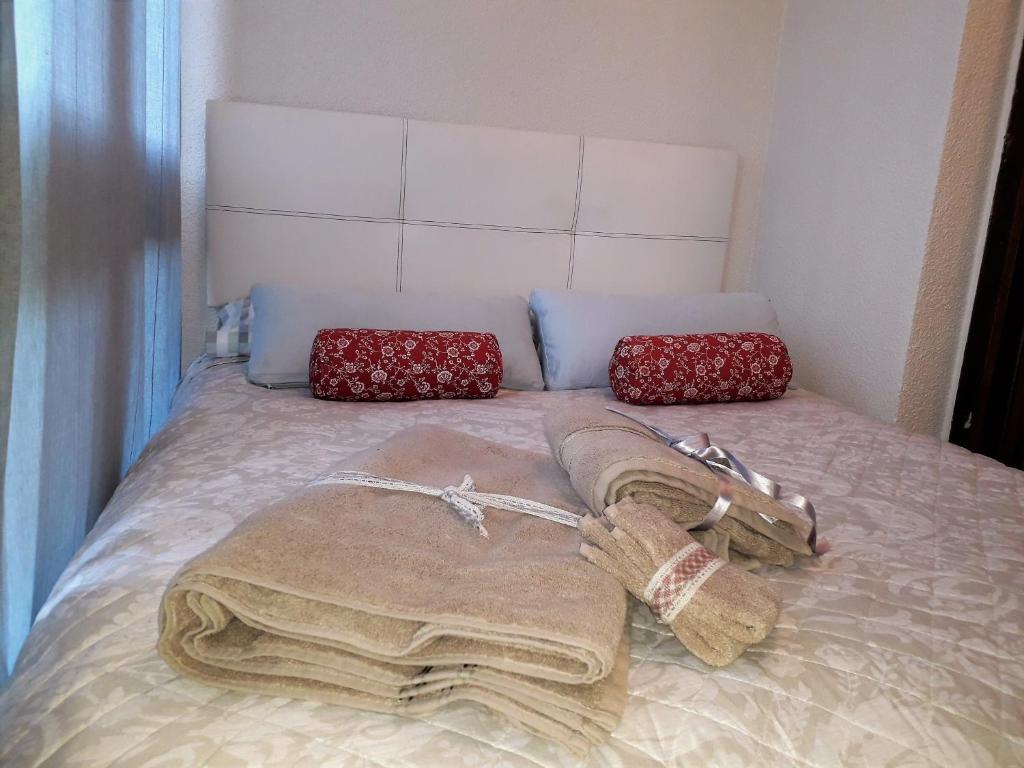 uma cama com um cobertor e duas almofadas em Ecológico en plena naturaleza em Riaza