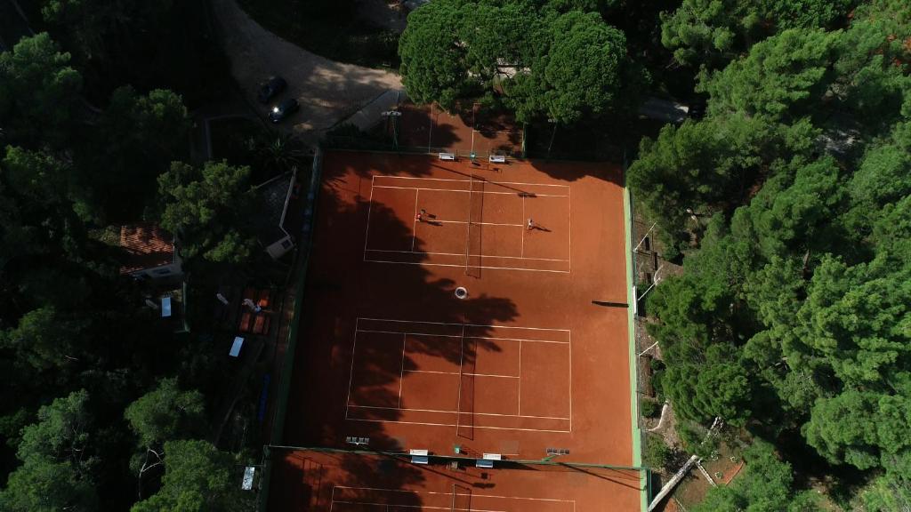 Tenis a/nebo squash v ubytování Family Hotel Vespera nebo okolí