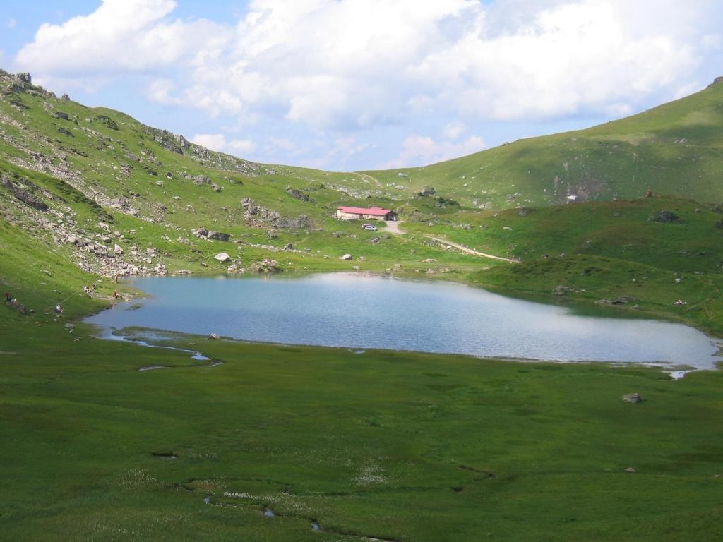 Příroda nedaleko apartmánu