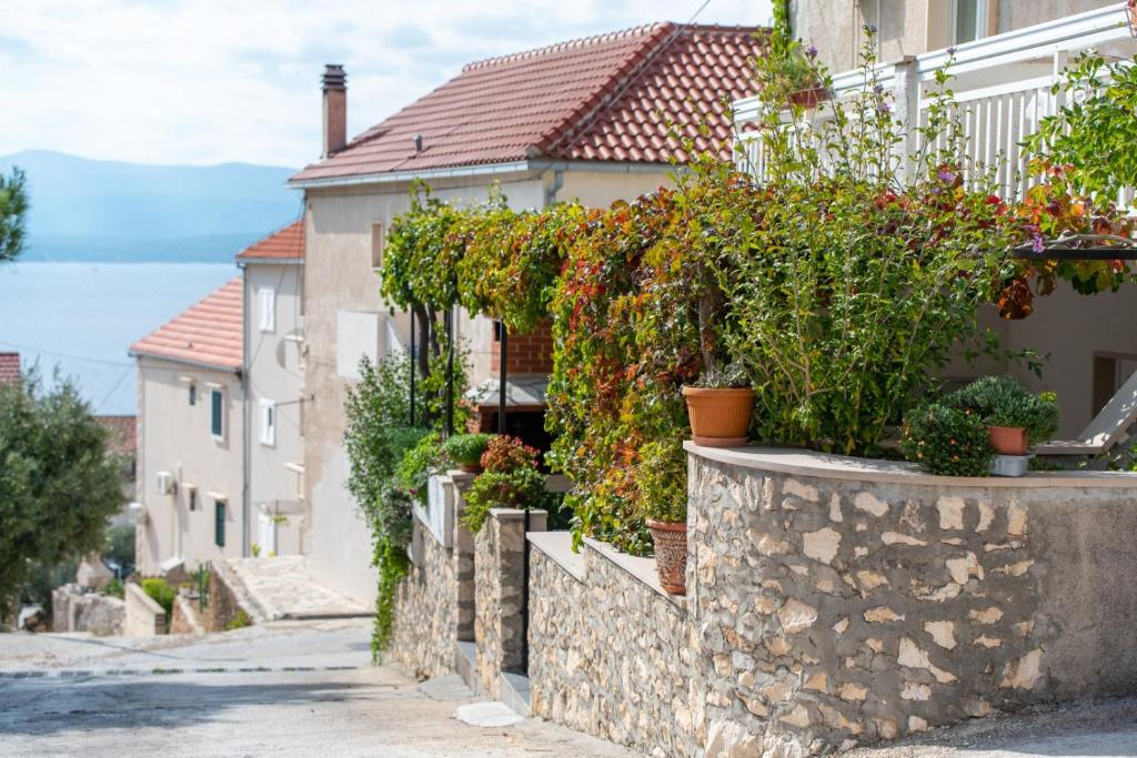 una casa con plantas en una pared de piedra en Apartments Mate en Bol