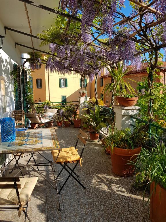A garden outside Casa dell'Ermanna