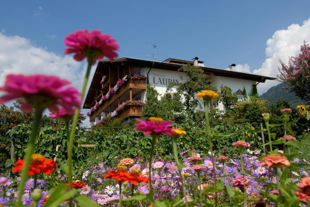 Zahrada ubytování Pension Laurin