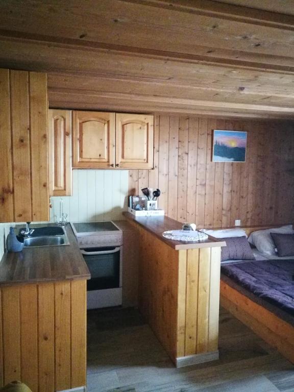 Kuchyň nebo kuchyňský kout v ubytování EkoTurizem Viženčar