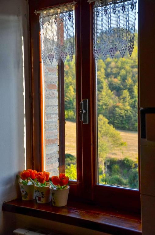 Zahrada ubytování Agriturismo Cailuca