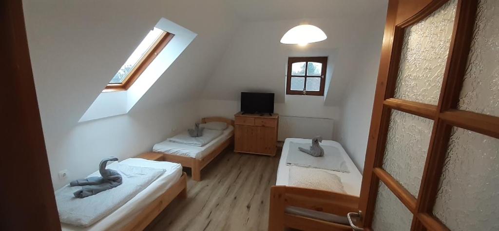 Natalia Vendeghaz - Standard Apartment