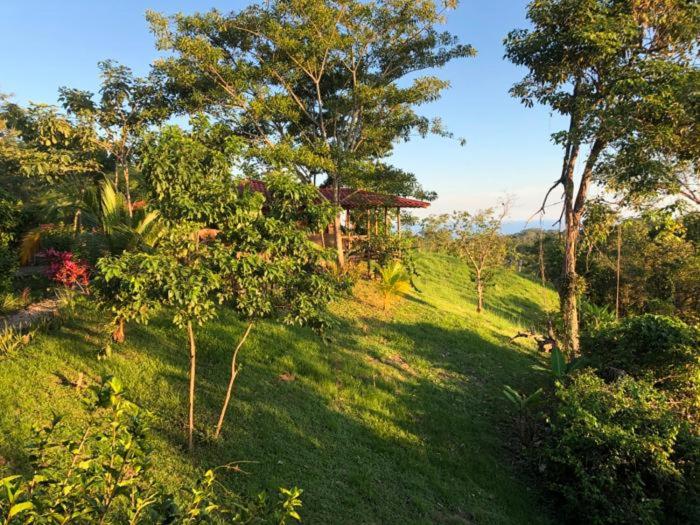 a lush green hillside with trees and a house at Soul Fire Casitas in Montezuma
