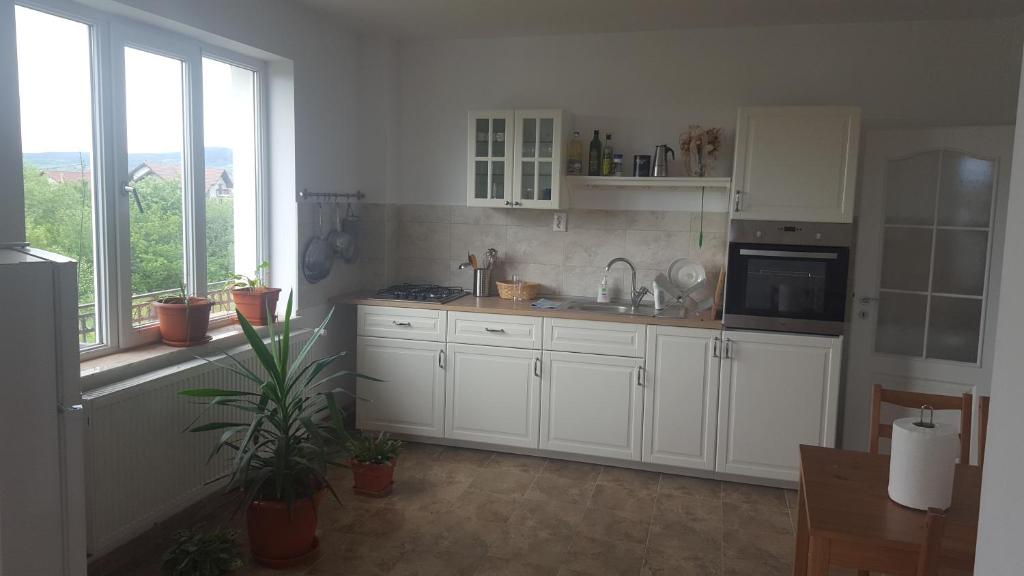 Kuchyň nebo kuchyňský kout v ubytování Casa Reds