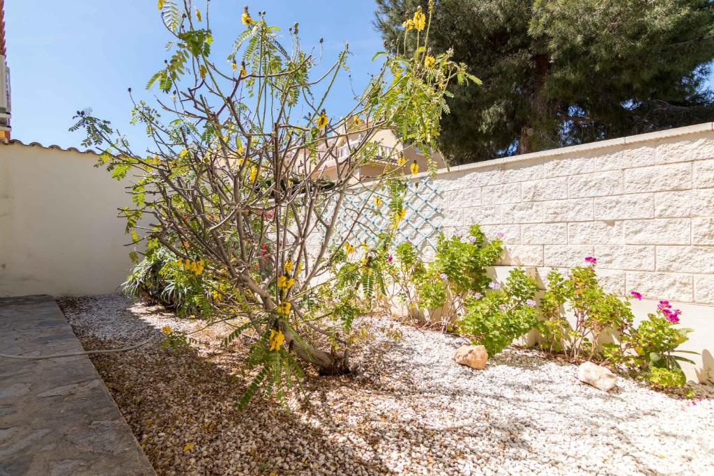 Vonkajšia záhrada v ubytovaní Charming one-floor villa with private pool in Los Balcones